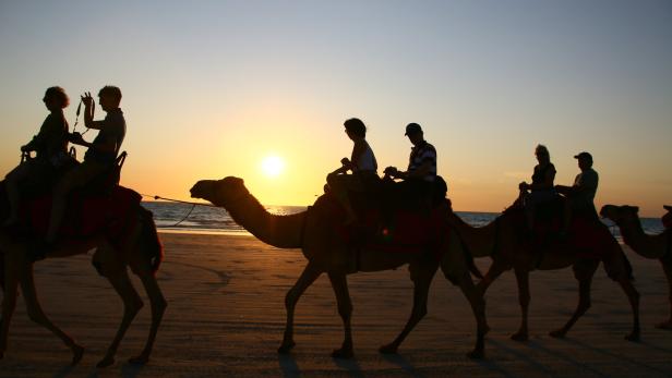 Mit einer Traumküste rechnet man in Australien, mit Kamelen eher nicht. Der Star sind in Broome dennoch die Sterne.