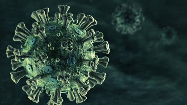 Coronavirus laut WHO wahrscheinlich auf natürlichem Wege entstanden