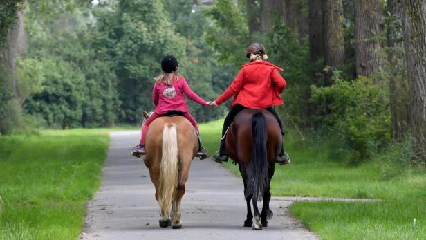 Reitsport und Corona: Ein Pferdeschwanz an Unklarheiten