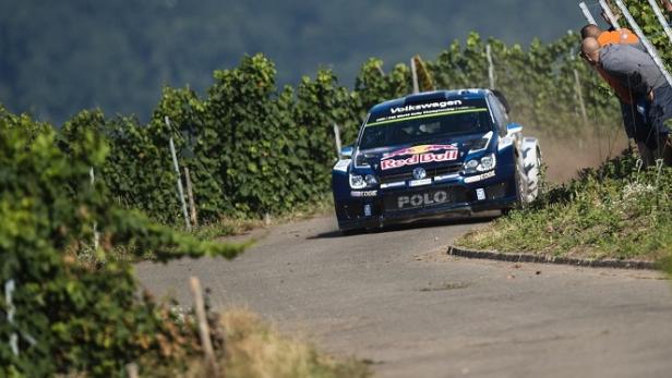 Ein blauer VW Polo Rallye fährt auf einer kurvigen Straße durch einen Weinberg.