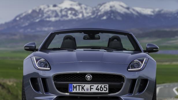 Ein grauer Jaguar F-Type Roadster vor einer Bergkulisse.
