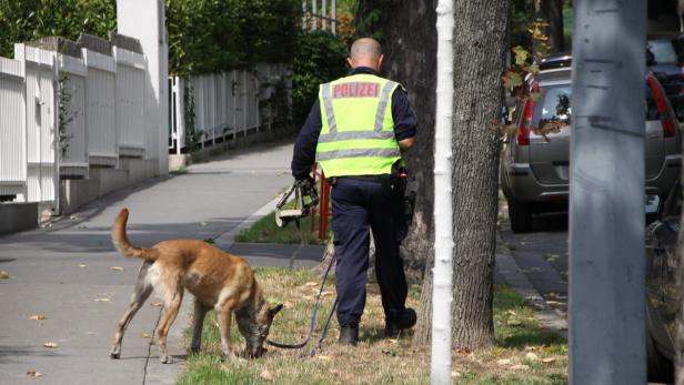 Ein Polizist geht mit einem Spürhund auf einem Bürgersteig entlang.