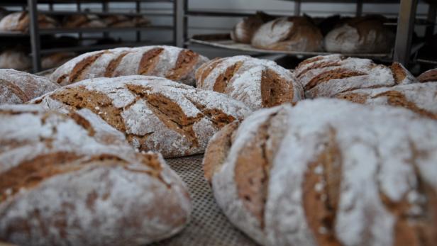 wird in der Bio Troad Bäckerei in Vitis (Bezirk Waidhofen/Thaya, Waldviertel) produziert und täglich nach Wien geliefert.