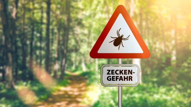 warning sign with text ZECKEN GEFAHR, German for beware of ticks, against defocused forest background