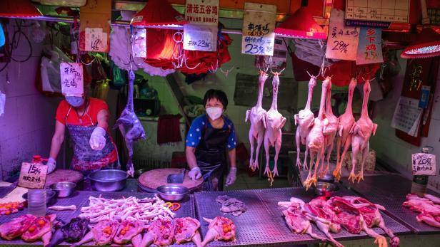Coronavirus: Die Rolle des Wildtiermarkts in Wuhan wird untersucht