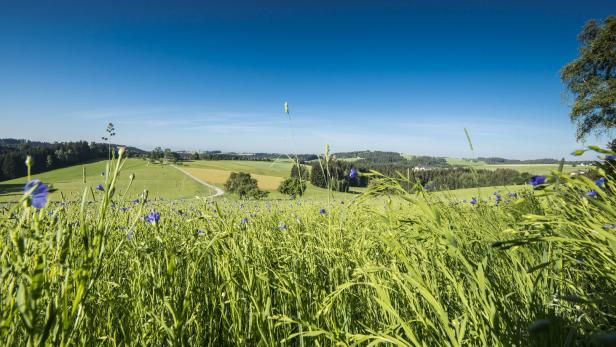 Mühlviertel: Stille Hören im Grenzbereich