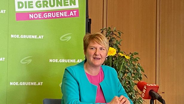 Helga Krismer bleibt Landessprecherin der Grünen