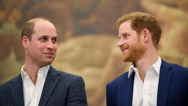 Royal-Expertin: Prinz Harry "wieder in Kontakt" mit Prinz William