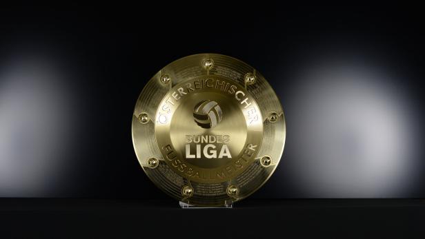 Alle Bundesligaklubs erhalten die Lizenz für die nächste Saison