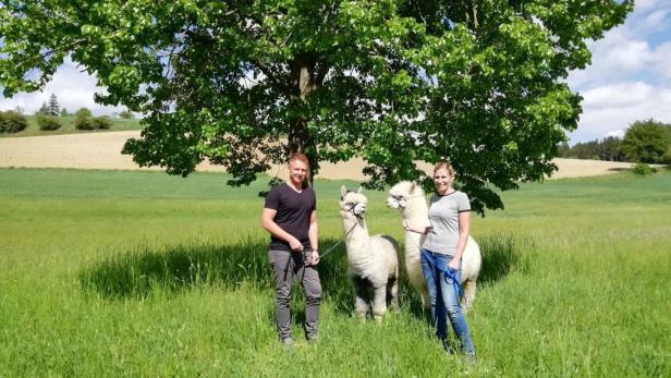 Sabine und Josef Resl haben sich vor drei Jahren ihren Traum von der Landwirtschaft erfüllt – mit flauschigen Alpakas