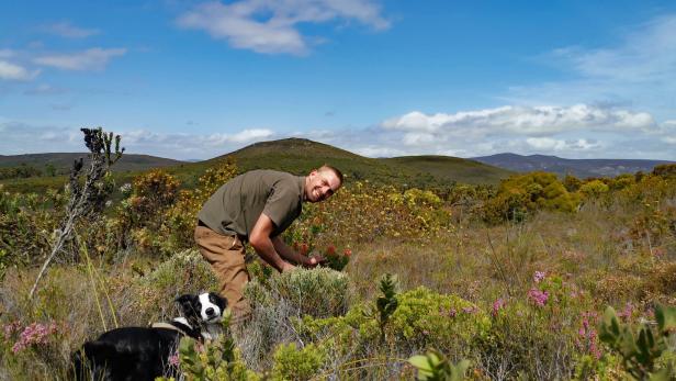 Meist streift Mike Fabricious mit seinem vierbeinigen Freund Monk erst bei Mondlicht durch den Fynbos – auf der Suche nach dem Kap-Leopard.