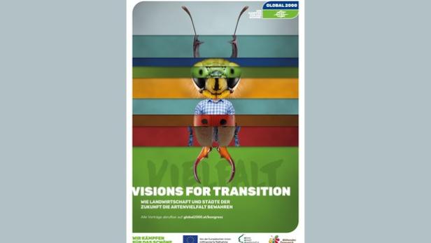 Vision for Transition