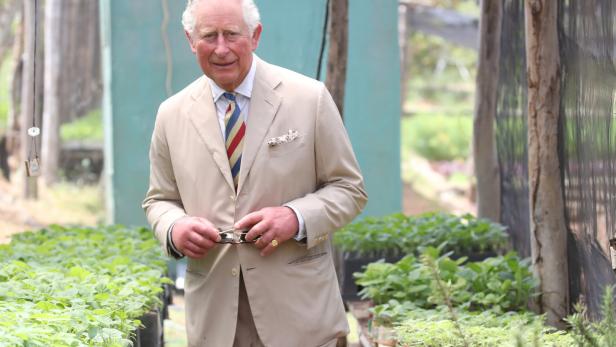 Prinz Charles ruft auf: Helft bei der Ernte mit!