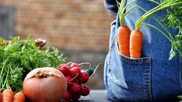 Reiche Ernte – und der Herbst bringt noch mehr, vor allem Salat