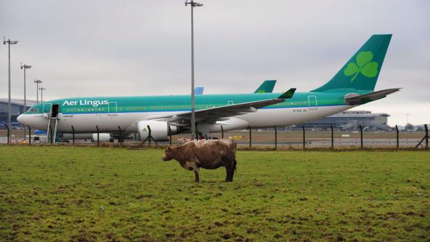 Importierte Flugzeuge sorgten unter anderem für den rasanten Anstieg.