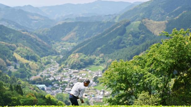 Japan: Bauern geben Studenten Arbeit, die ihren Job verloren haben