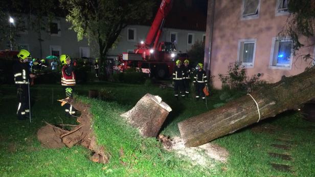 Heftige Unwetter haben in weiten Teilen Österreichs in der Nacht auf Mittwoch für große Schäden gesorgt und Einsatzkräfte auf Trab gehalten. (Bild: In Steyr in OÖ stürzte ein Baum auf ein Haus)