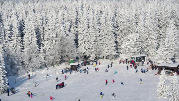 Viele Menschen genießen einen sonnigen Tag beim Skifahren in einem verschneiten Wald.