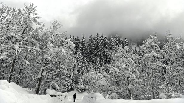 Verschneite Landschaft bei Niedertauern (Salzburg), aufgenommen am Mittwoch, 9. Jänner 2019 