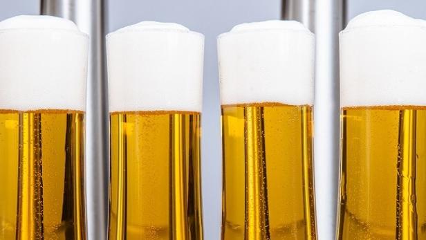 Vier Gläser helles Bier mit Schaumkrone stehen nebeneinander.