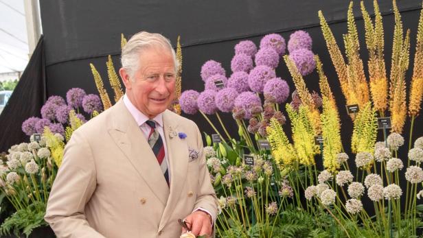 Prinz Charles nimmt Umweltschutz seit Corona-Erkrankung noch ernster