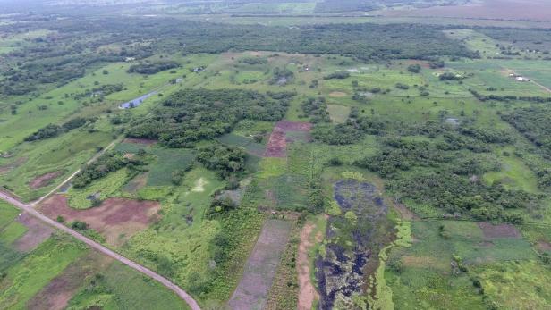 An aerial view of the ancient Maya Aguada Fenix site in Mexico's Tabasco state