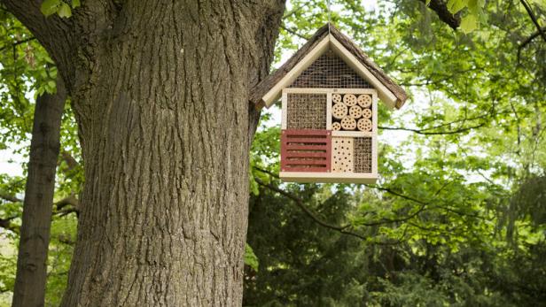 Insektenhotel: So bauen Sie eine Nisthilfe im Garten