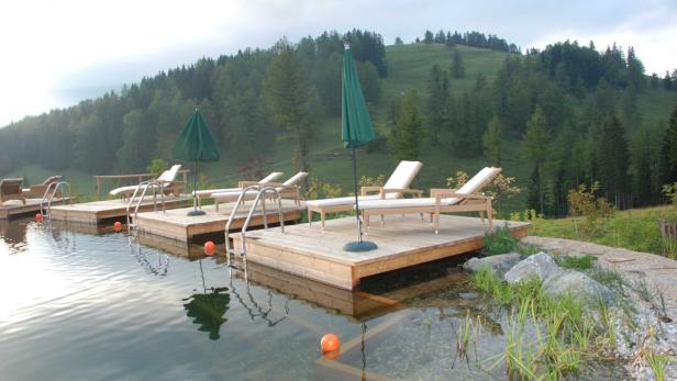 Pierer: Naturbadeteich auf der Teichalm