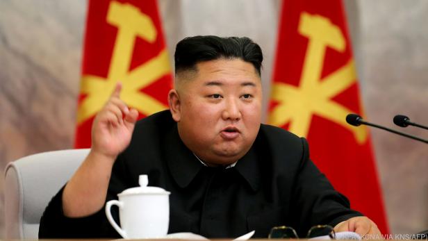 Kim über Aktion südkoreanischer Aktivisten erbost