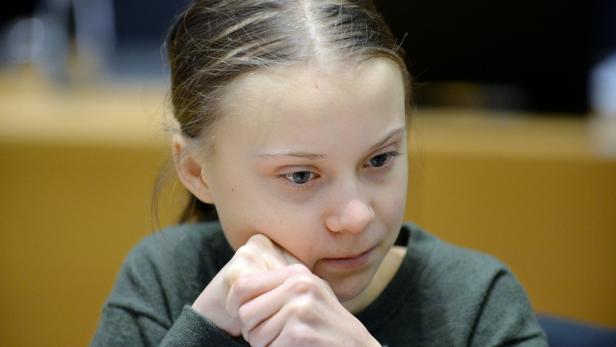 Riesenkrabbenspinnenart nach Greta Thunberg benannt