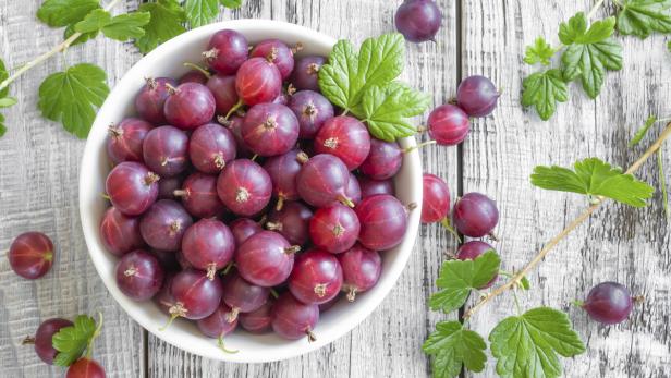 Stachelbeeren zeichnen sich durch einen süß-säuerlichen Geschmack aus und zählen wie Ribisel zu den Stachelbeergewächsen der Gattung Ribes.