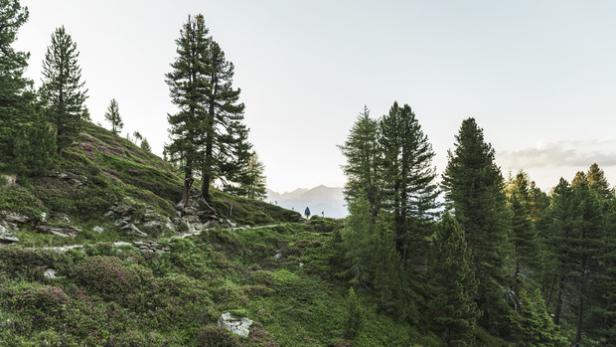 Wildromantische Wanderregion lädt zum Kraftorte sammeln ein - Die Wanderregion Hall-Wattens lädt zum Kraftorte sammeln ein.(Fotograf:Sebastian Schels, Fotocredit:Tirol Werbung/Schels Sebastian)