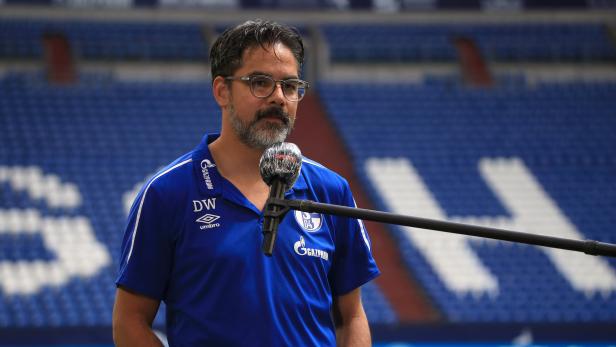 Ein Mann mit Brille und Bart steht vor einem Mikrofon im Stadion des FC Schalke 04.