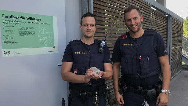 Favoriten: Polizisten retteten dehydrierten Wildvogel