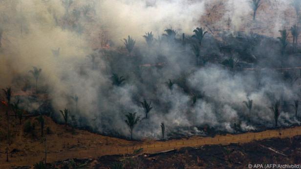 Auch vergangenes Jahr gab es schlimme Brände im Amazonas