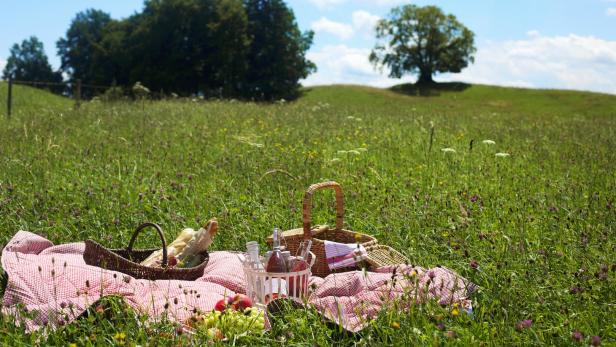 Ab ins Körbchen: Picknick de luxe von österreichischen Spitzenköchen