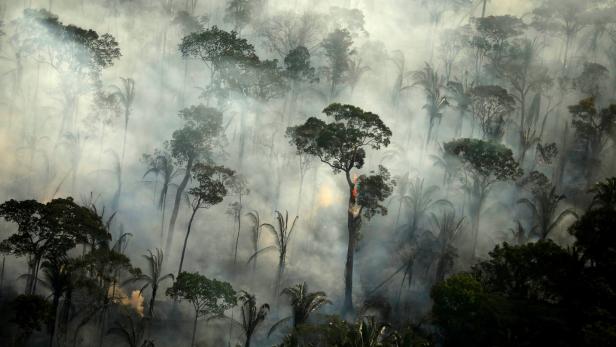 Waldbrände im Amazonas: Verheerendster Juni seit 13 Jahren