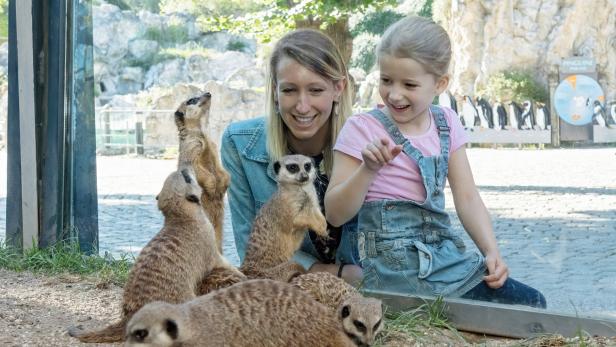 Tiergarten Schönbrunn zählt zu den besten Zoos der Welt.