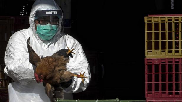 China verbietet das Schlachten von Geflügel auf Märkten