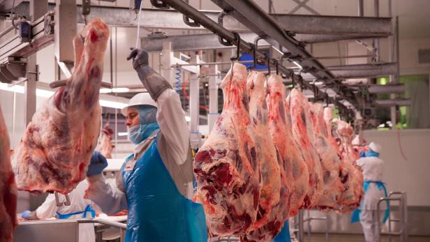 Corona-Ausbruch in Schlachthöfen: OÖ fordert Assistenzeinsatz des Bundesheeres an