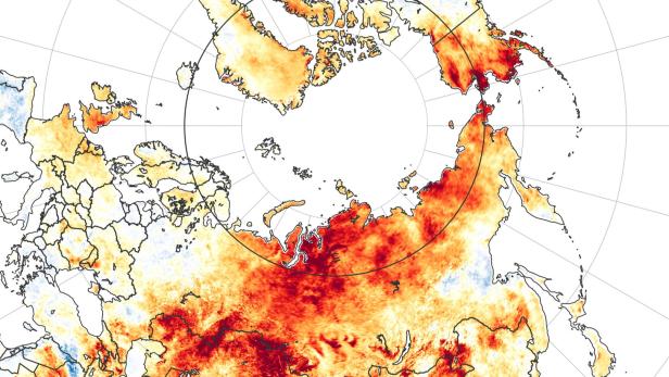38 Grad in Sibirien: Juni brachte globalen Hitzerekord