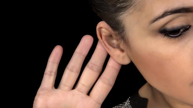 Wissen ums Ohrewackeln könnte Hörgeräte verbessern.