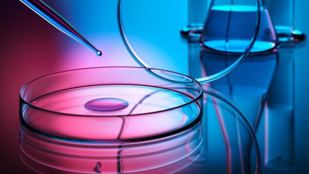 Eine Pipette gibt eine Flüssigkeit in eine Petrischale ab.