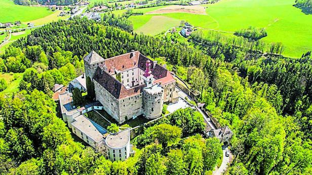 Seit 2014 war das Schloss im Besitz des Wiener Immobilienmaklers Erich Podstatny.