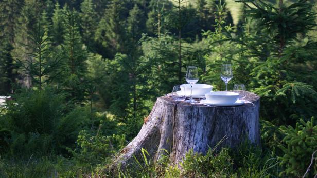 Wald-Brunch: Tischlein deck dich unter Fichtenwipferln - die Top-Tipps rund ums Wochenende!