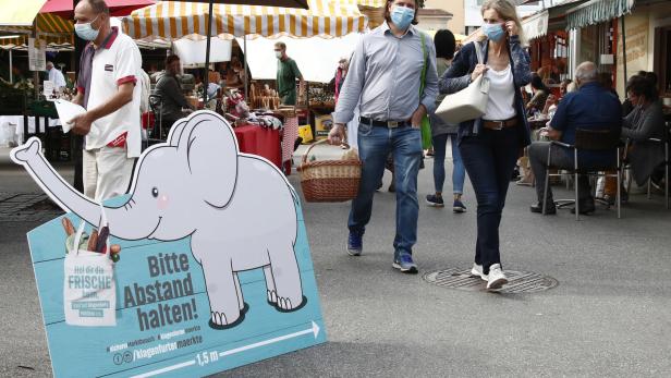 Mückstein präsentiert neue Lockerungen: Babyelefant kehrt zurück 