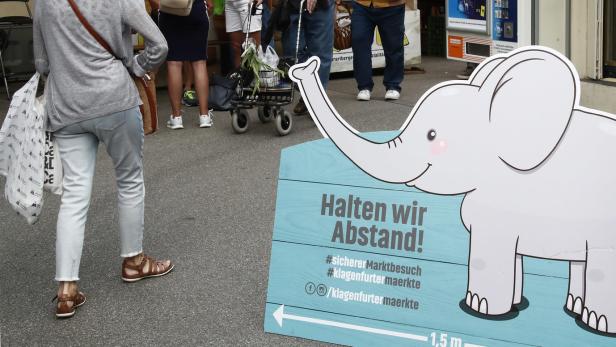 Verfassungsjurist Mayer: Auch der Babyelefant ist gesetzeswidrig