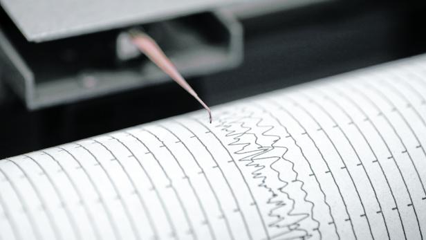 Seismometer printing details