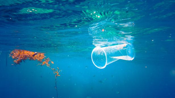 Der meiste Plastikmüll im Meer sinkt in große Wassertiefen  