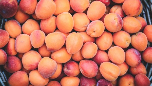 Obstbau in OÖ: 95-prozentige Ausfälle bei Marillenernte